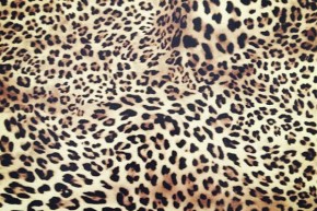 Leopard flexfolie